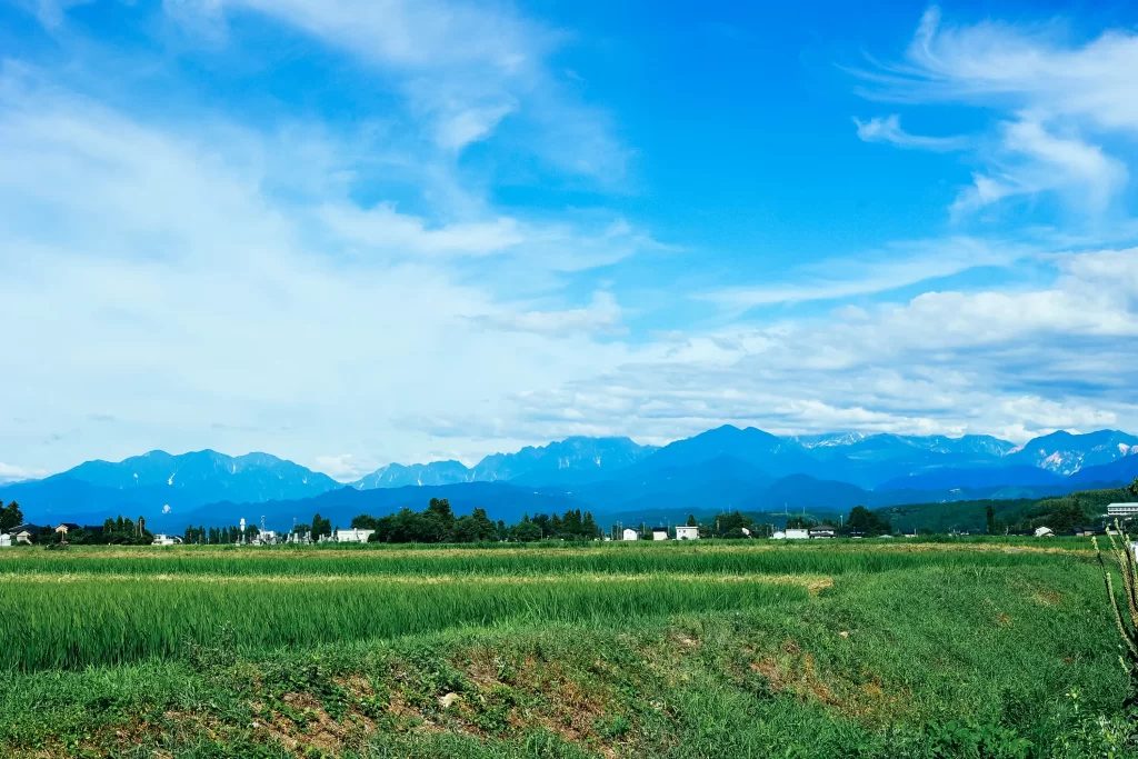 ECサイト,竹田ジェラート,富山,酪農,shopify制作事例